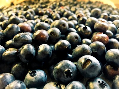 Lucasville, United states, Fresh