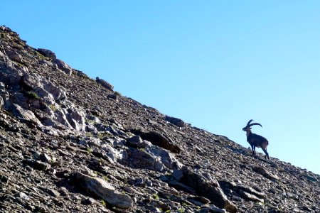Pettneu am arlberg 290, 6574 pettneu am arlberg, Austria