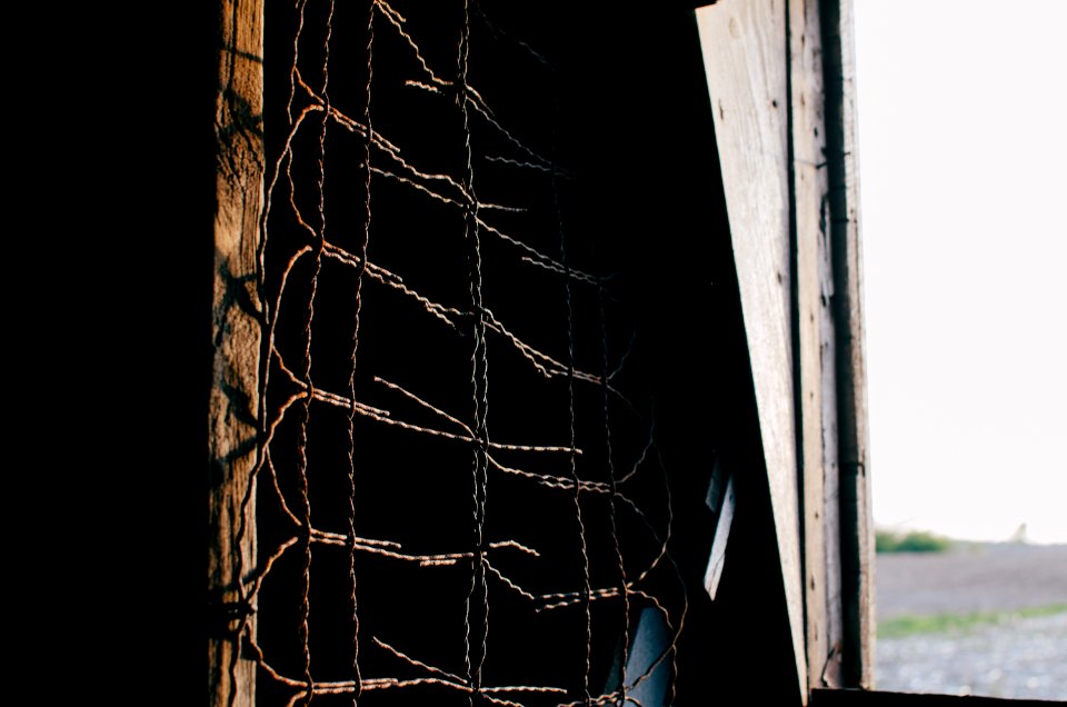brown metal barbwire nera plank