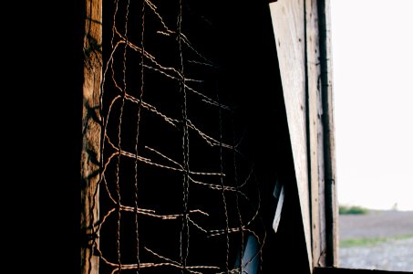 brown metal barbwire nera plank photo