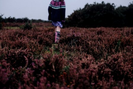 person standing on field photo