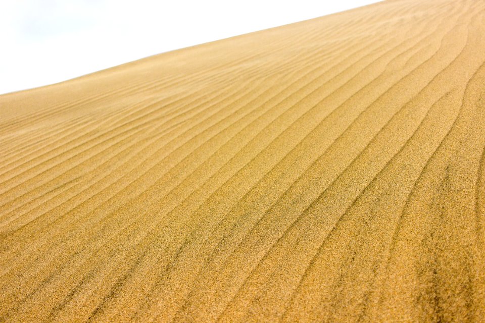 Maspalomas, Spain, Dune