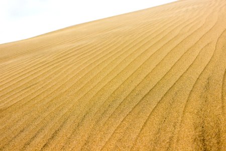 Maspalomas, Spain, Dune