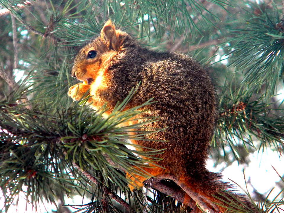 Colorado springs, United states, Light