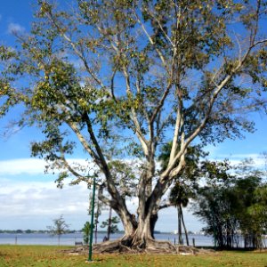 Fort myers, Florida, Mcgregor estates blvd