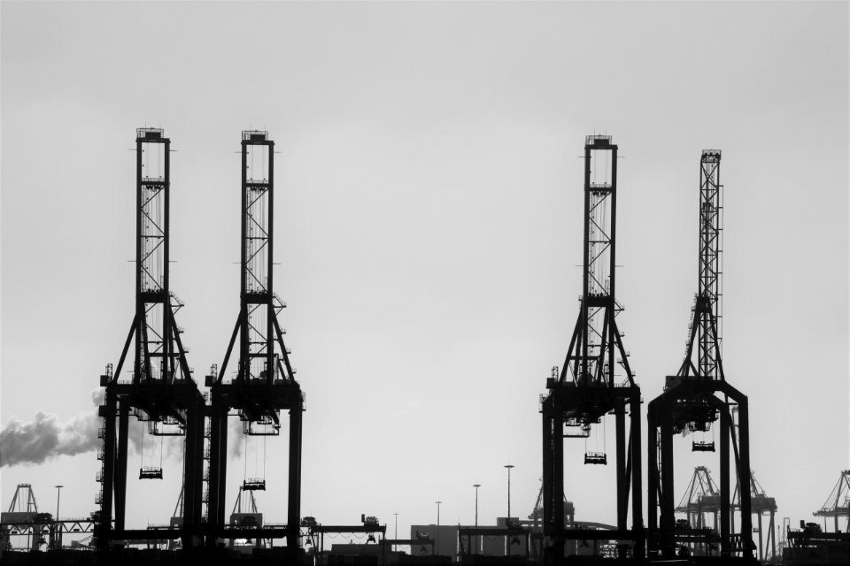 Rotterdam, Maasvlakte, Crane