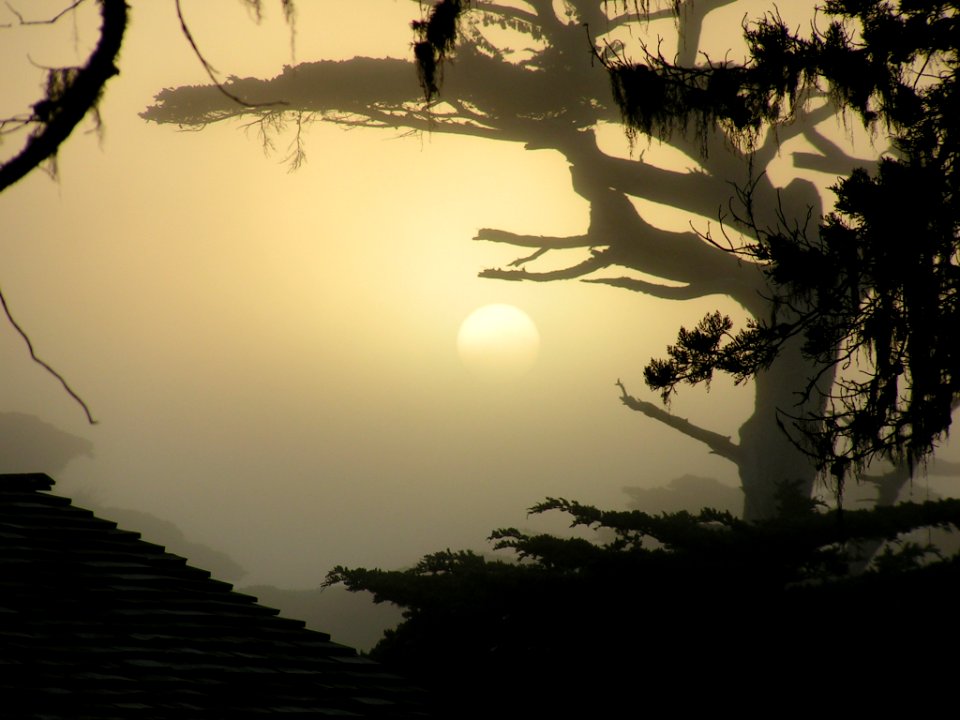 Cypress point, Del monte forest, United states