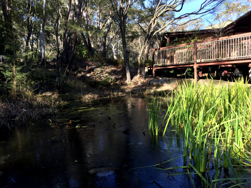 New south wales, Australia