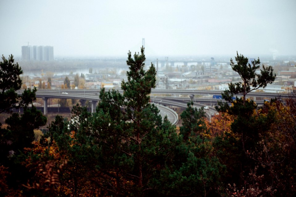 Bridge, Foliage, Morning