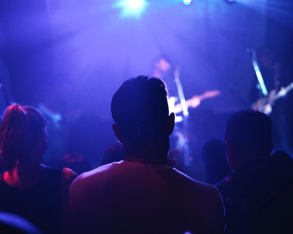 Purple, Concert, Music