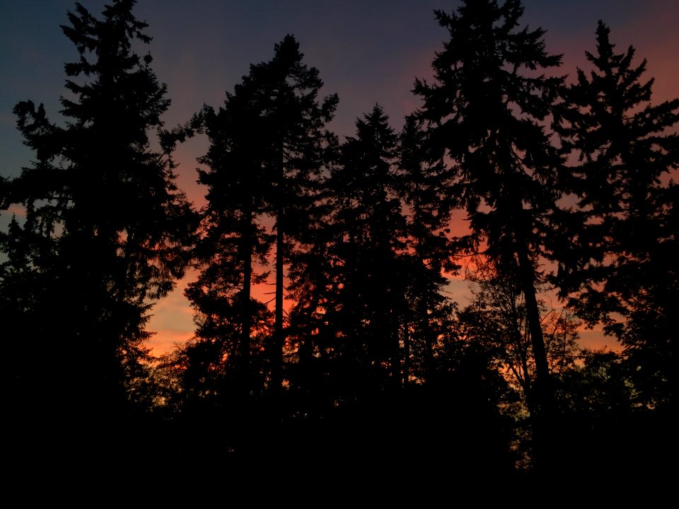 Southworth, United states, Sunset