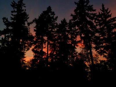 Southworth, United states, Sunset