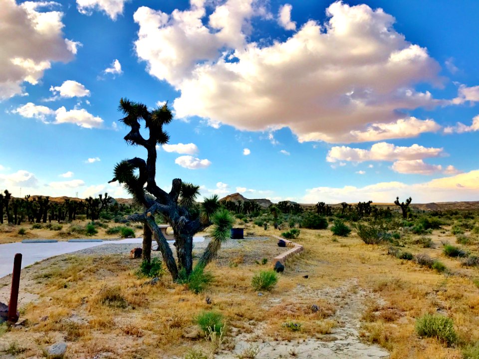 Red rock canyon state park, Cantil, United states