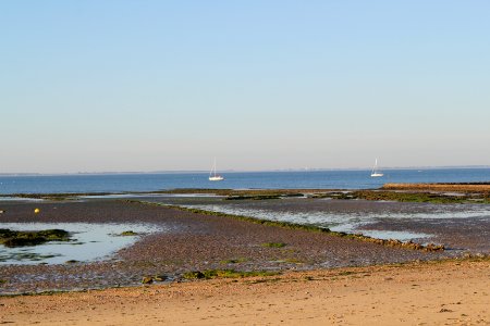 Le de Rand, France, Scape photo