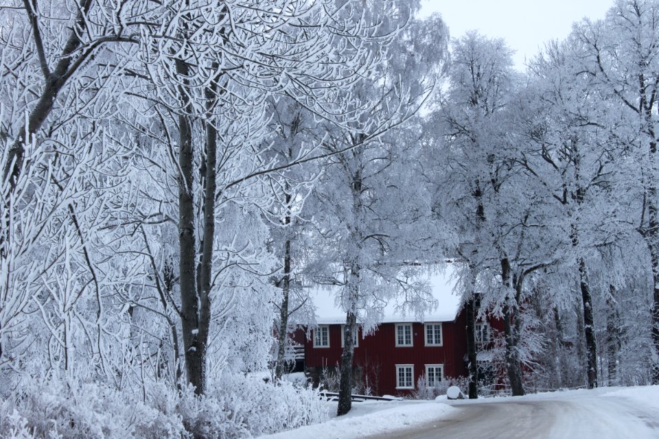 Snow, Christmas, Cabin