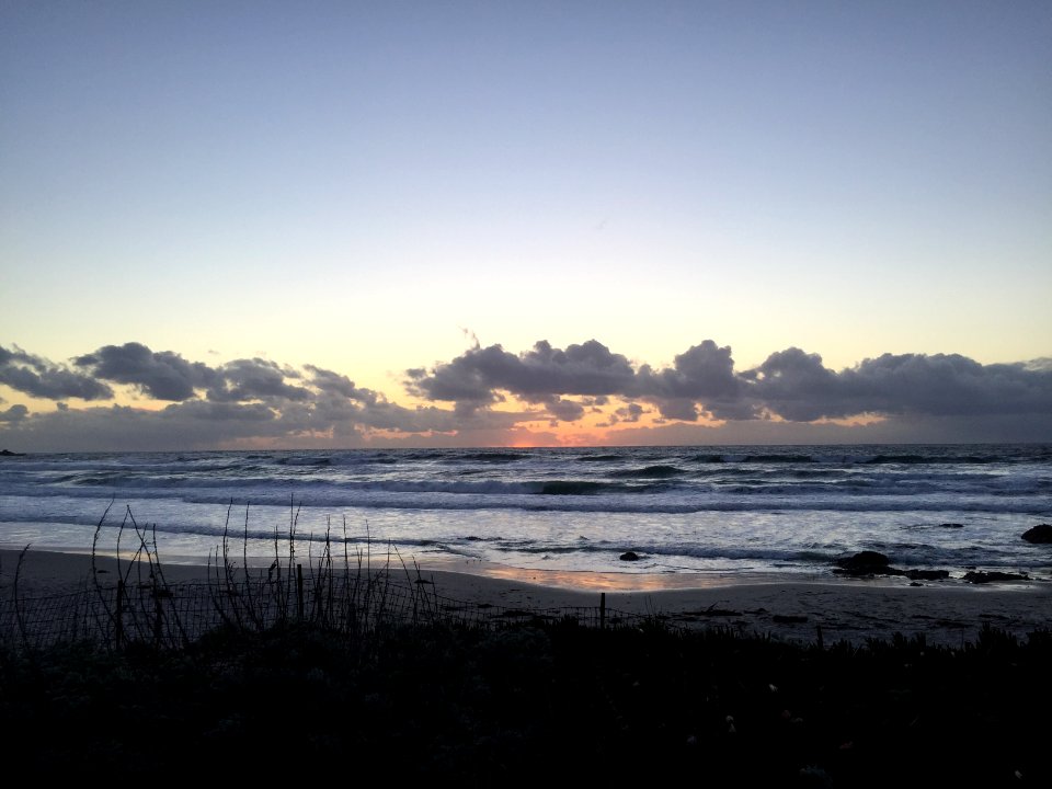 Asilomar state beach, Pacific grove, United states