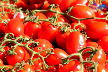 Red, Tomato, Food