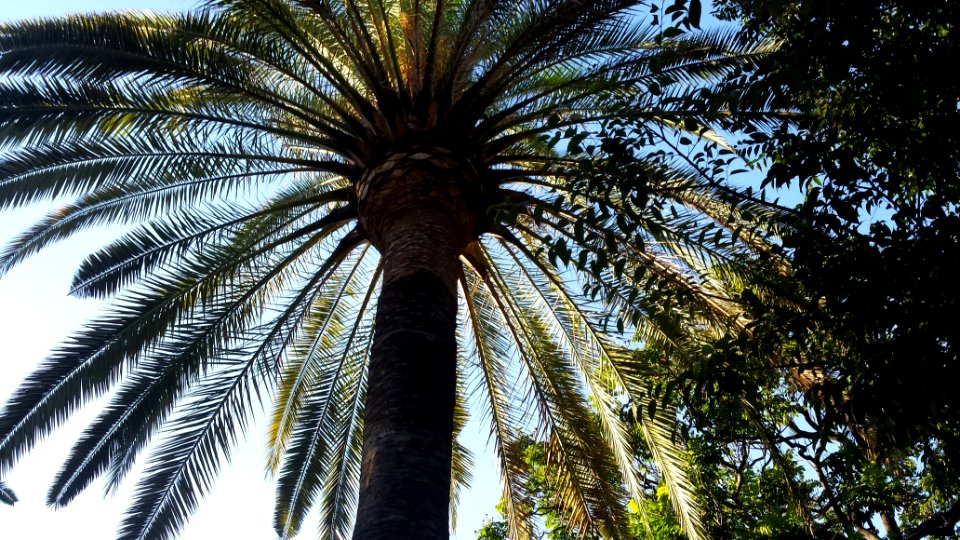 Malaga, Spain