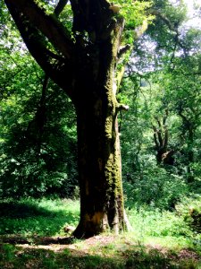 St austell, United kingdom