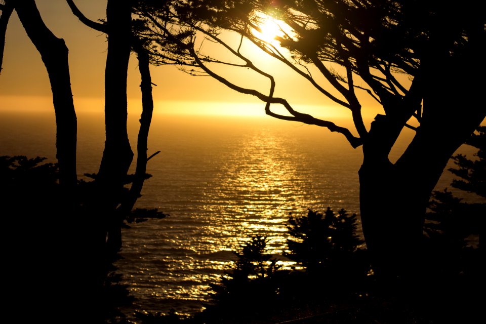 Sun, San francisco, Ocean