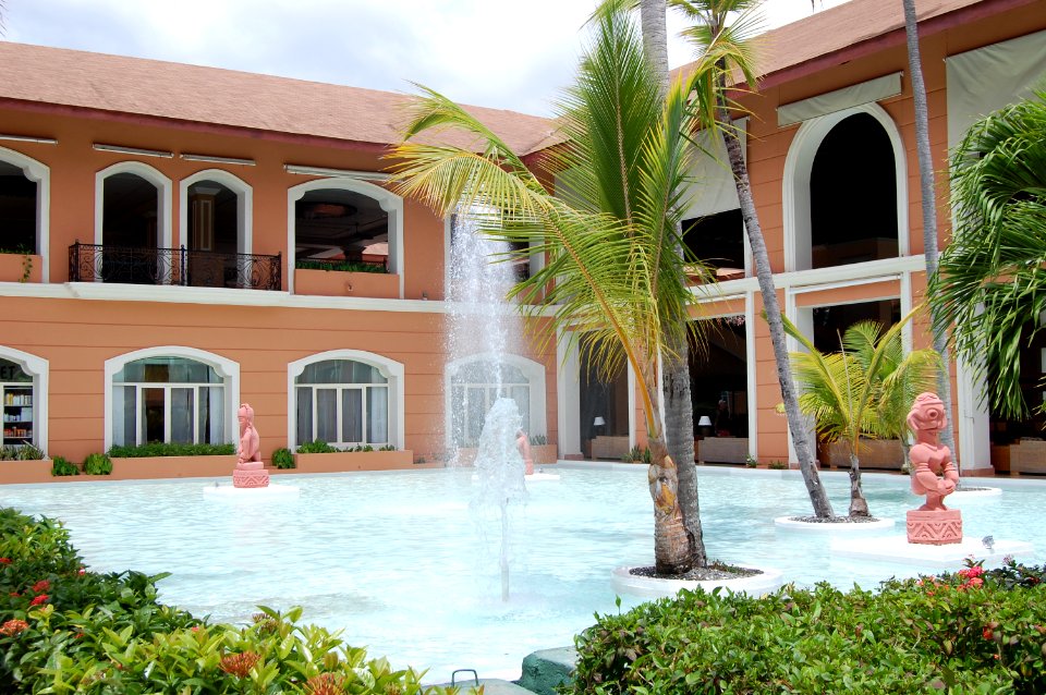 Punta cana, Dominican republic, Palm tree