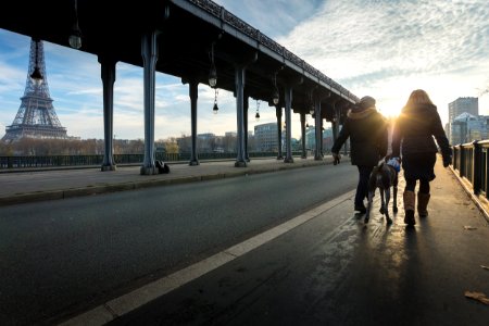 Paris, Dog, Pont de bir hakeim