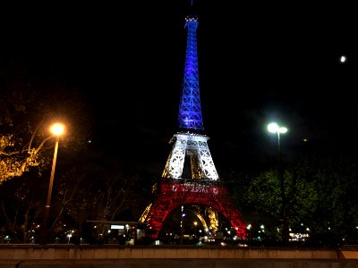 Paris, Pont diena, Chaillot