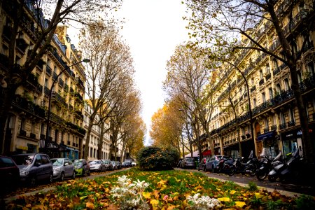Paris, France, Street photo
