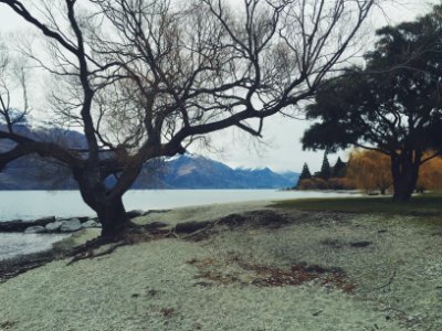 Queenstown, New Zealand, Tranquility photo