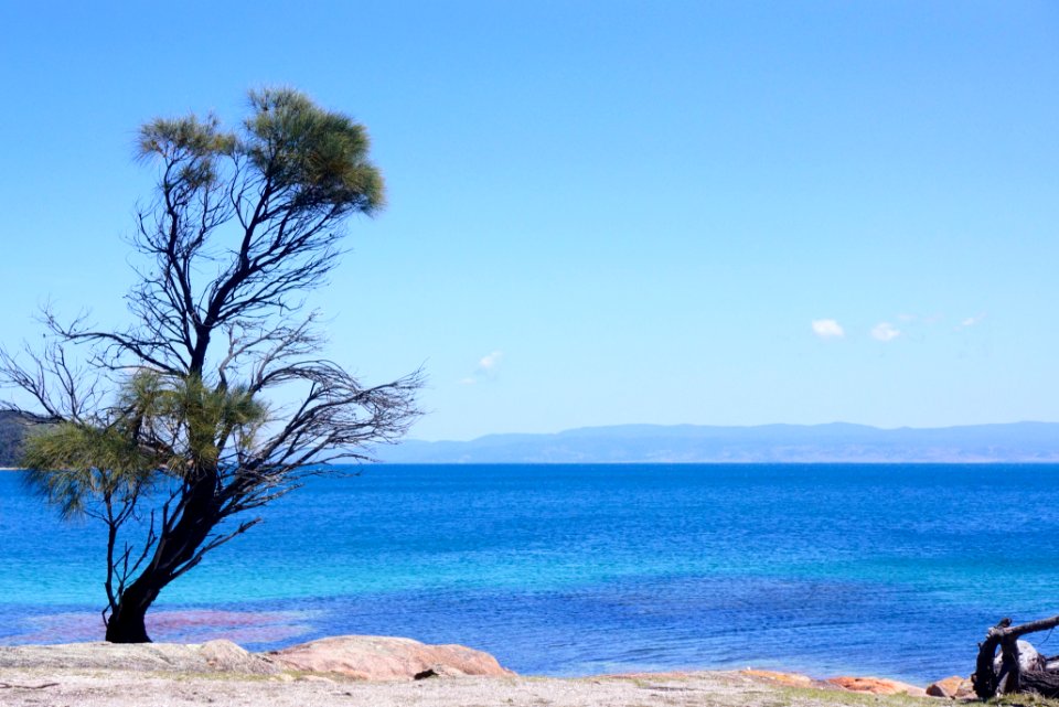 Tasmania, Australia, Nature