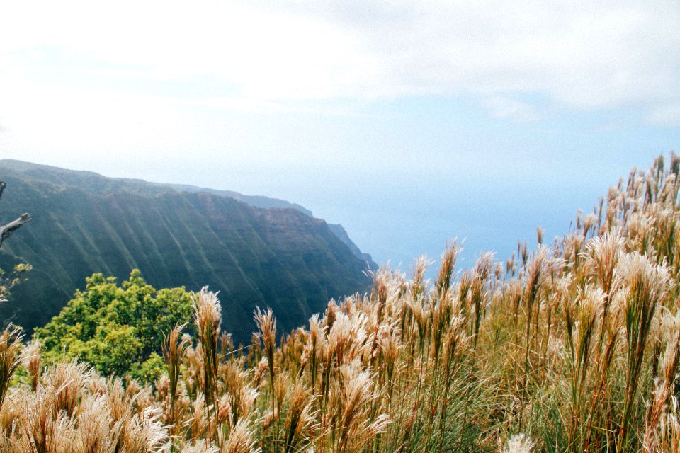 Kauai, United states, View