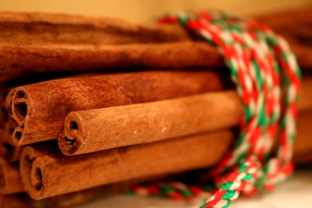 Cinnamon, Christmas photo
