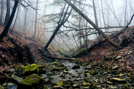 Buttermilk falls, Hamilton, Canada