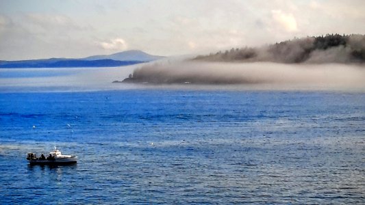 Bar harbor, United states, Fog