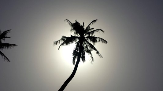 Yaba, Lagos, Nigeria