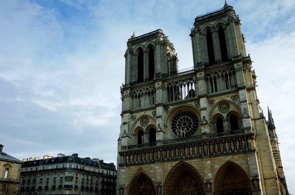 Cathdrale notredame de paris, Paris, France