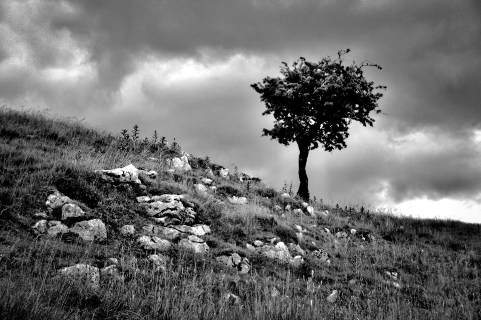 Rocky Land, Scape, Dark sky