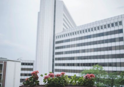 Light, Office, Essen