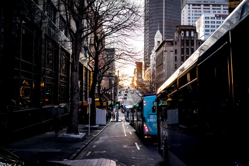 Auckl, New Zealand, Winter photo