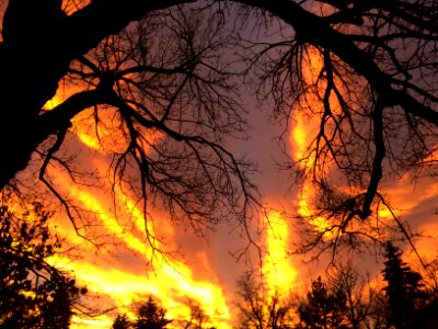 17031715 columbine ave, Boulder, Co 80302