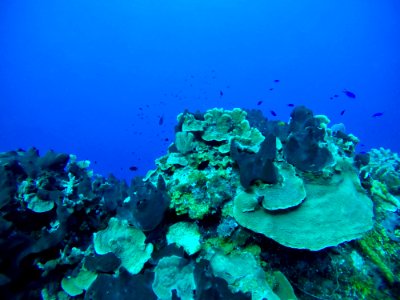Cozumel, Mexico