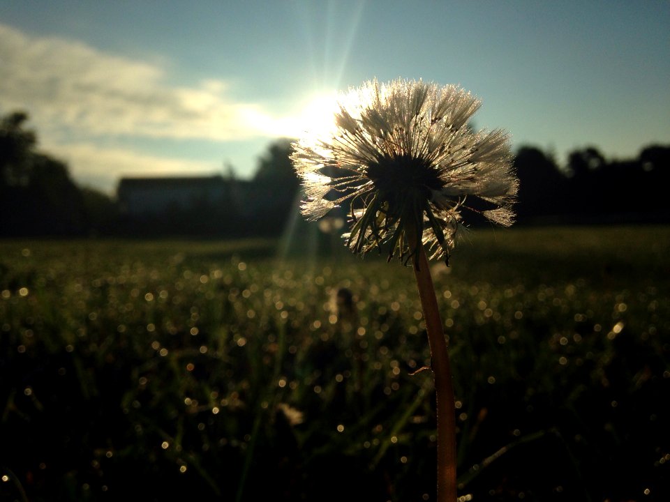 Positivity, Sky, Brilliance