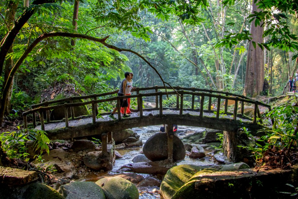 Forest research institute of malaysia, Kuala lumpur, Malaysia