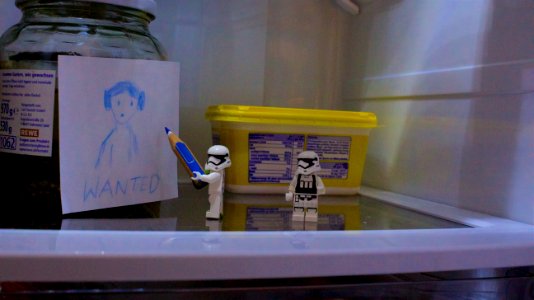 Fridge, Stormtrooper, Leia