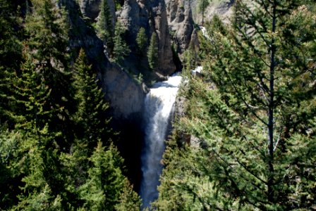 Yellowstone national park, United states, Yellow stone photo