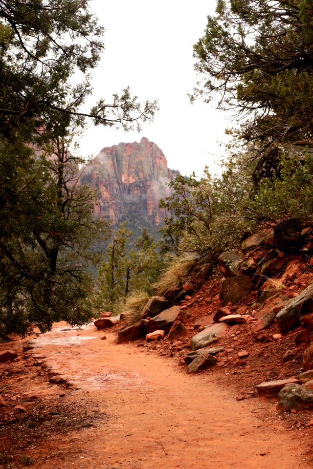 Zion national park, United states, National park