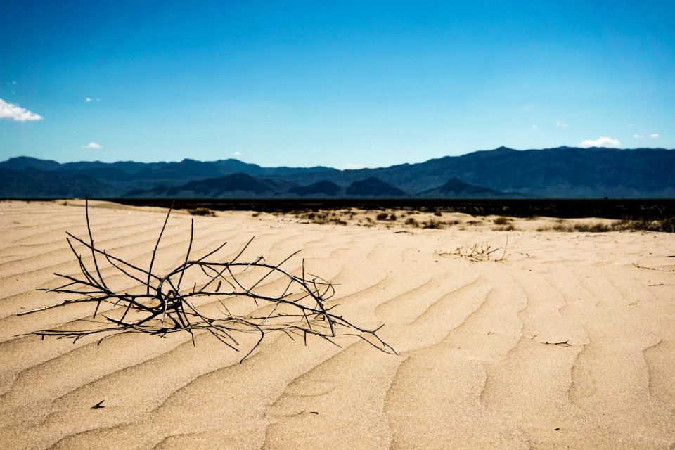 Dunas de bilbao, Mexico, Seco
