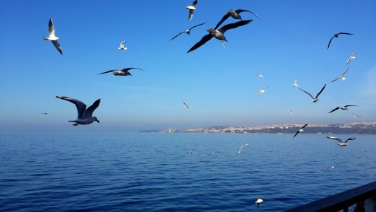 Istanbul, Turkey, Sea