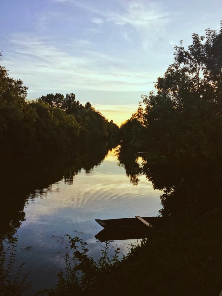 Scape, Peaceful, Sunset