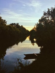 Scape, Peaceful, Sunset